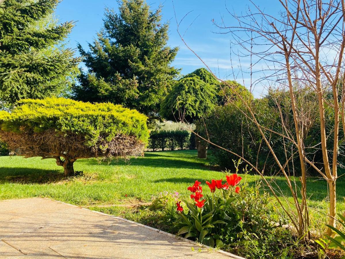 Apartmán Casa Cino Umag Exteriér fotografie